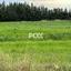 land for sale nikokleia paphos 1270119 thumbnail 5547510