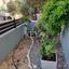2 bedroom semi detached house for rent paphos municipality paphos 8890319 thumbnail 17318602