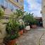 2 bedroom semi detached house for rent paphos municipality paphos 8890319 thumbnail 17318624