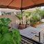 2 bedroom semi detached house for rent paphos municipality paphos 8890319 thumbnail 17318625