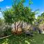 4 bedroom detached house for sale linopetra limassol 8072319 thumbnail 13127207