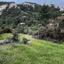 land for sale apsiou limassol 8026319 thumbnail 17414231