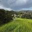 land for sale apsiou limassol 8026319 thumbnail 17414237