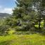 land for sale apsiou limassol 8026319 thumbnail 17414248
