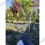 studio commercial development for rent agios dometios nicosia 1770319 thumbnail 5543812