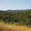 land for sale pera pedi limassol 7739419 thumbnail 11749048