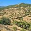 land for sale pigenia nicosia 946419 thumbnail 6815697