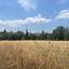 land for sale poli chrysochous paphos 8645519 thumbnail 15938072