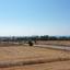 land for sale potamos liopetriou famagusta 1236519 thumbnail 5605935