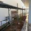 4 bedroom detached house for sale agioi trimithias nicosia 1349619 thumbnail 15476325