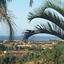 4 bedroom detached house for sale paramali limassol 1613619 thumbnail 5666540