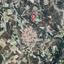 land for sale koilani limassol 826619 thumbnail 16009892