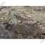 land for sale agia varvara nicosias nicosia 7788719 thumbnail 10426520
