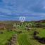 land for sale kofinou larnaca 8168719 thumbnail 13530808