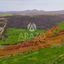land for sale kofinou larnaca 8168719 thumbnail 13530816