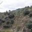 land for sale palaichori oreinis nicosia 1174719 thumbnail 15602315