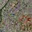 plot for sale lakatamia nicosia 8540719 thumbnail 15507253