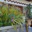 4 bedroom semi detached house for sale agioi anargyroi larnaca 841819 thumbnail 5398570