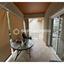 3 bedroom apartment for rent dasoupoli nicosia 8174919 thumbnail 13552388