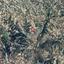 land for sale letymvou paphos 1517919 thumbnail 15598018