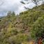 land for sale mandria lemesou limassol 8433919 thumbnail 15594983