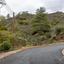 land for sale mandria lemesou limassol 8433919 thumbnail 15594985