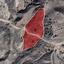 land for sale trahipedoula paphos 945919 thumbnail 15599845