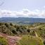 land for sale trahipedoula paphos 945919 thumbnail 15599846