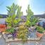 3 bedroom penthouse for sale deryneia famagusta 1646029 thumbnail 4205168