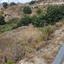 land for sale akoursos paphos 8659029 thumbnail 16717219