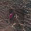 land for sale evrychou nicosia 8275029 thumbnail 15157040