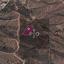 land for sale evrychou nicosia 8275029 thumbnail 15157041