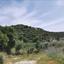 land for sale pachna limassol 8630029 thumbnail 16656537