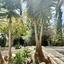 6 bedroom detached house for sale tala paphos 8509129 thumbnail 16996014