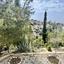 6 bedroom detached house for sale tala paphos 8509129 thumbnail 16996018
