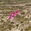 land for sale psematismenos larnaca 1650129 thumbnail 5665392