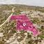 land for sale psematismenos larnaca 1650129 thumbnail 5665397