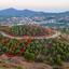 plot for sale kornos larnaca 1827129 thumbnail 6408329