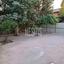 3 bedroom detached house for rent nicosia municipality nicosia 1268229 thumbnail 16597818