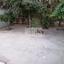 3 bedroom detached house for rent nicosia municipality nicosia 1268229 thumbnail 16597819