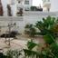 4 bedroom detached house for sale cape greko famagusta 1281229 thumbnail 13532584