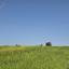land for sale erimi limassol 7885229 thumbnail 14136850