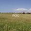land for sale ypsonas limassol 1146229 thumbnail 5498788