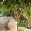 4 bedroom detached house for sale agia fyla limassol 1812329 thumbnail 6831045