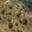 land for sale kato platres limassol 1336329 thumbnail 16700807