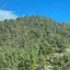 land for sale pera orinis nicosia 7980329 thumbnail 11622917