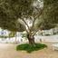 2 bedroom apartment for sale pyla larnaca 8827429 thumbnail 17011857