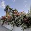 5 bedroom detached house for sale germasogeia limassol 1194429 thumbnail 5563152
