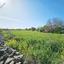 land for sale drousia paphos 1336429 thumbnail 2477094