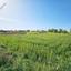 land for sale drousia paphos 1336429 thumbnail 2477096